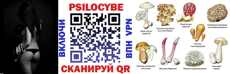 hydra ССЫЛКА  купить  цена  Архангельск  Псилоцибиновые грибы Magic Shrooms 